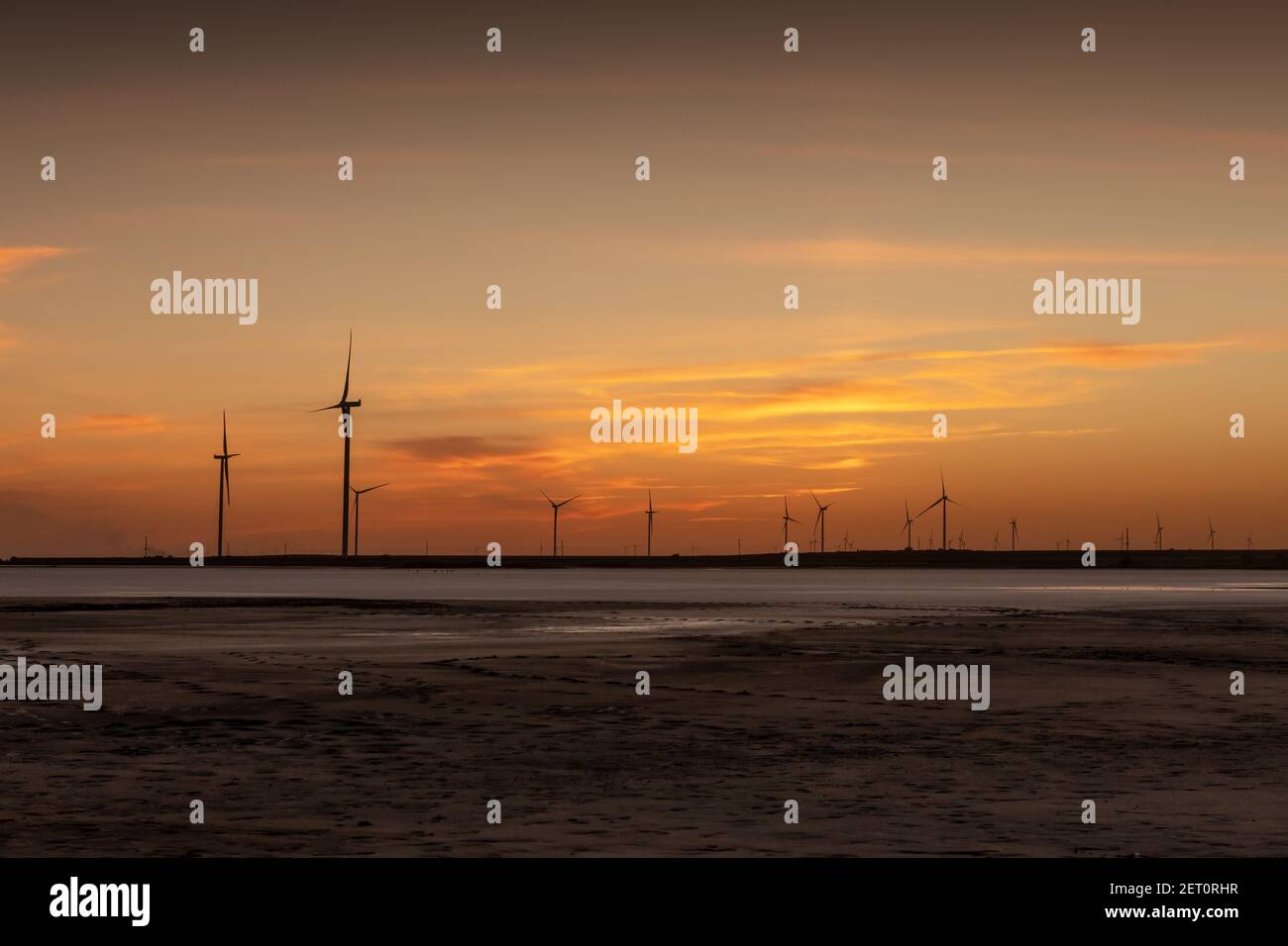 Tranquil landscape with rows offshore wind turbines on dry seabed on sunset time. Industrial landscape photography Stock Photo