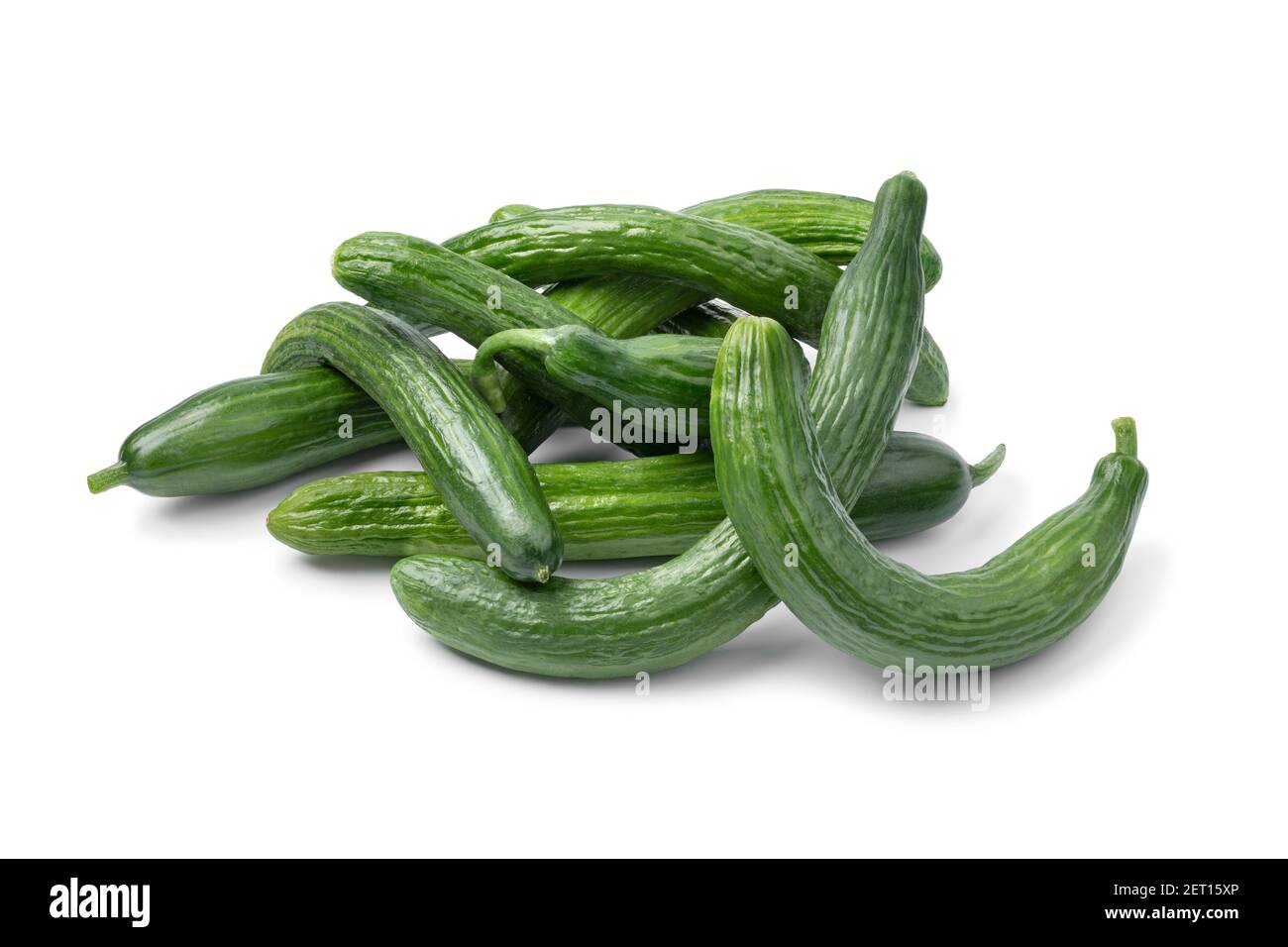 Mini Cucumbers  Nature Fresh Farms