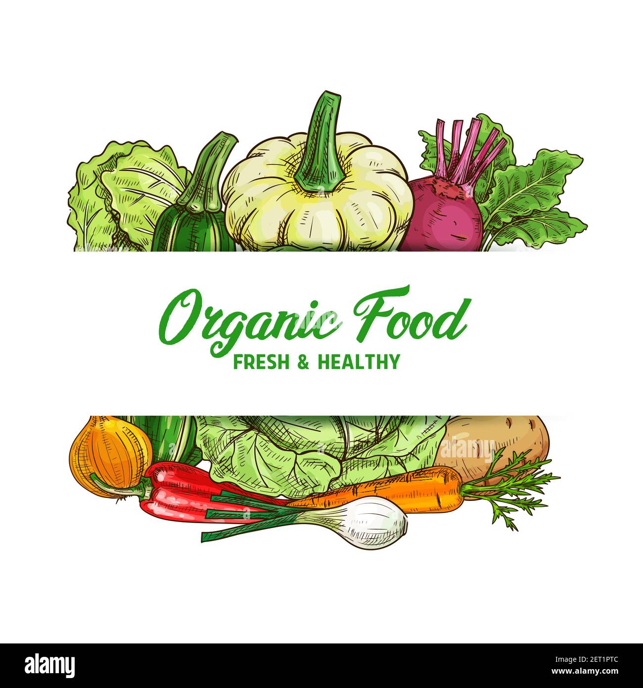 Fresh vegetable food vector sketch of organic farm veggies. Green and ...