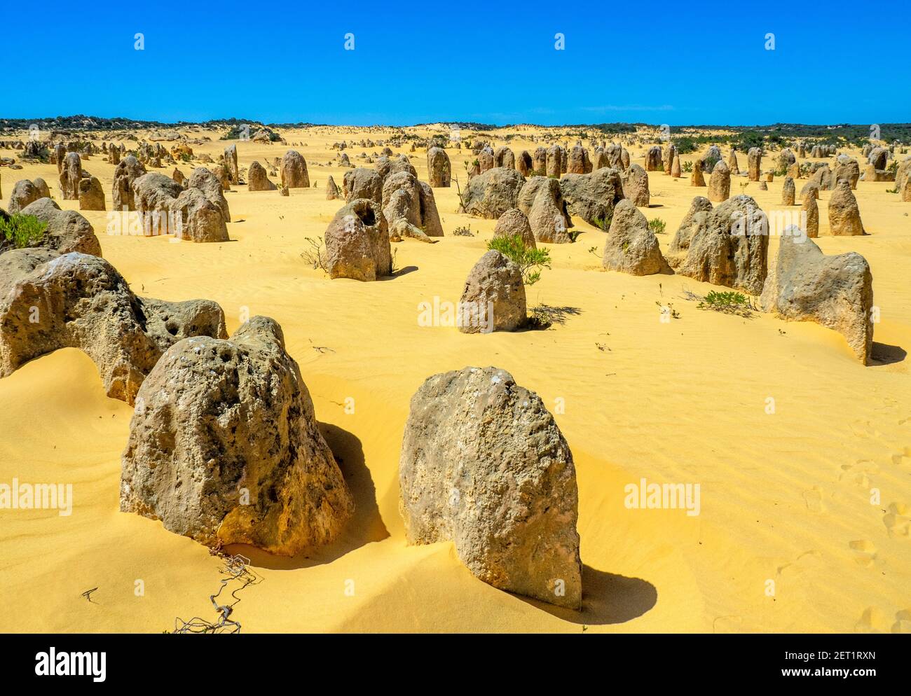 The Pinnacles, thousands of limestone formations or pillars, within ...