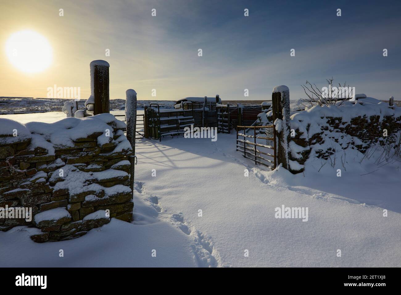 Particularly snowy view of the Yorkshire moorland hill farm sheep pen at 900ft Stock Photo