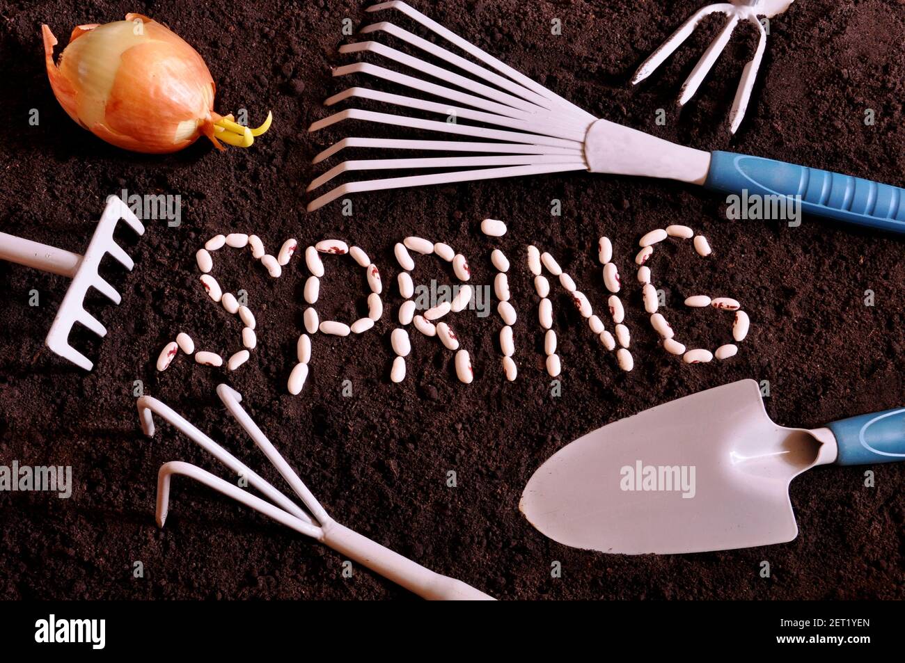 Tools for gardening and gardening on the ground Stock Photo Alamy