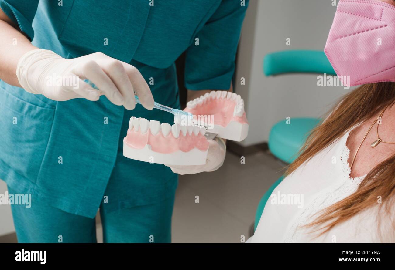 dentist doctor, denture sample and tooth cleaning brush, patient with