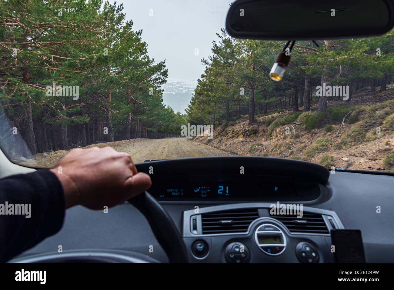 Forest road in a pine forest, seen from inside a car. Stock Photo