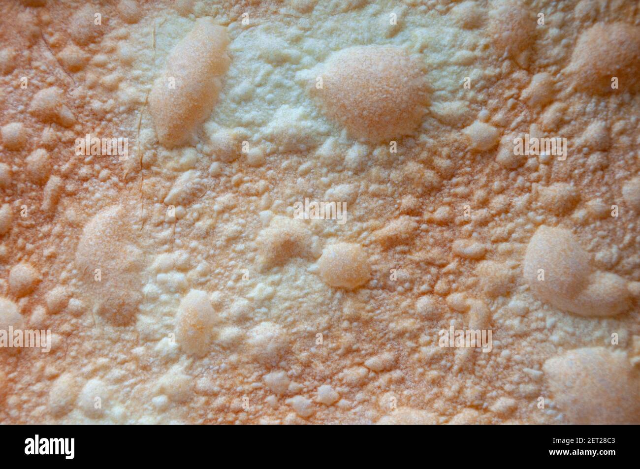 The texture of a golden crispy baked dough made of flour and butter. Stock Photo