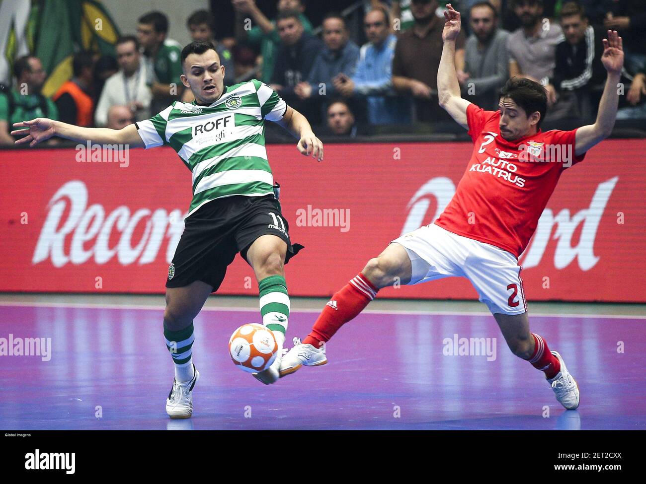 Lisbon, 18/11/2018 - Sporting Clube de Portugal played this evening with  Sport Lisboa e Benfica in the João Rocha pavilion, in the match for the 3rd  round of Group C of the