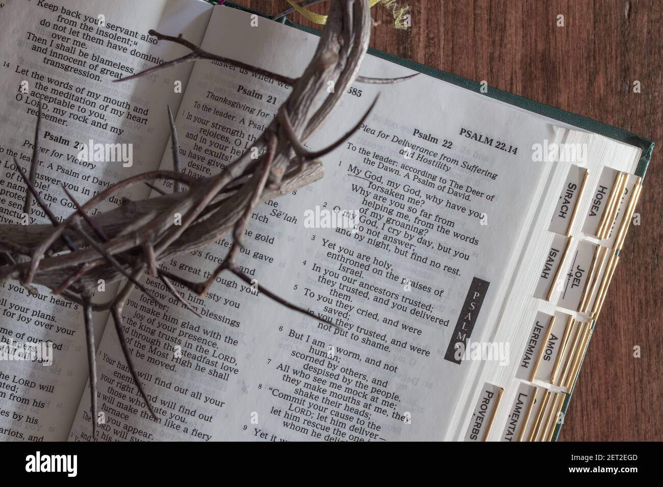 Close up of crown of thorns on open bible on dark wood background Stock Photo