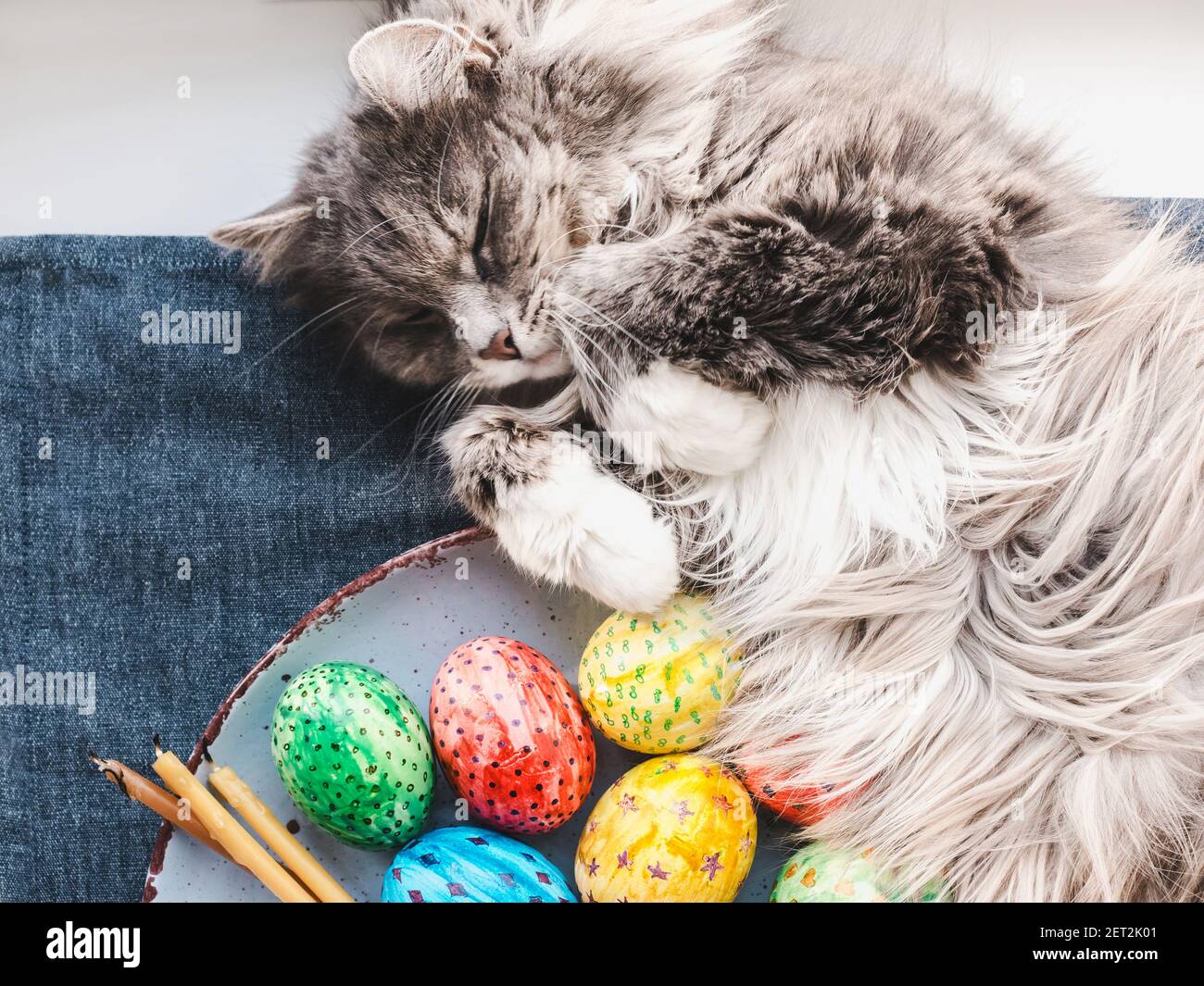 Charming kitten and Easter eggs painted in bright colors Stock Photo