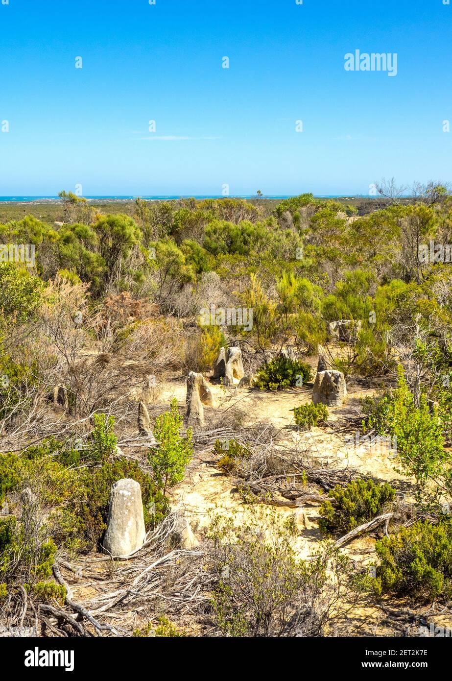 Scrubland on edge of Pinnacles Desert popular tourist attraction in