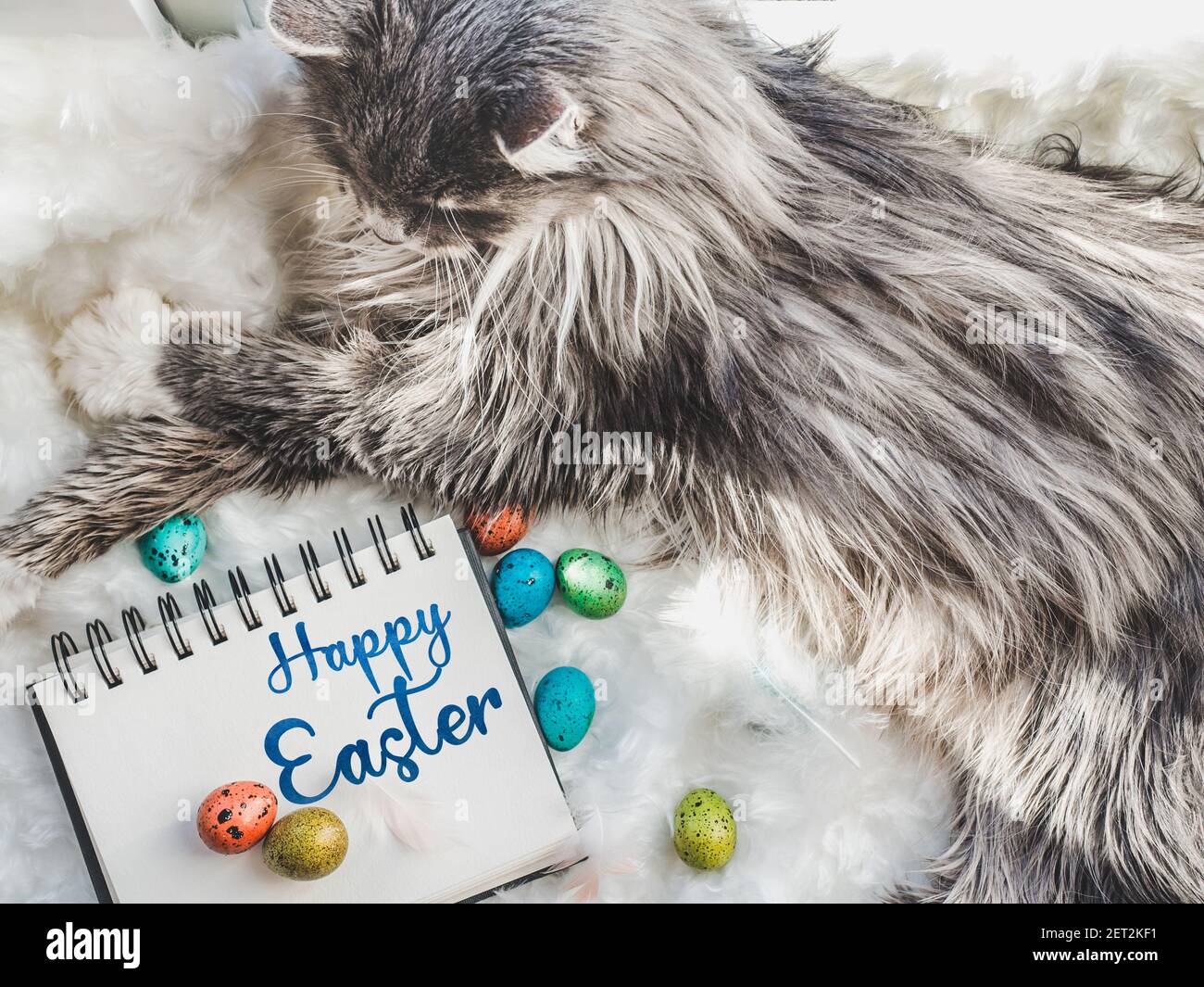 Charming kitten and Easter eggs painted in bright colors Stock Photo