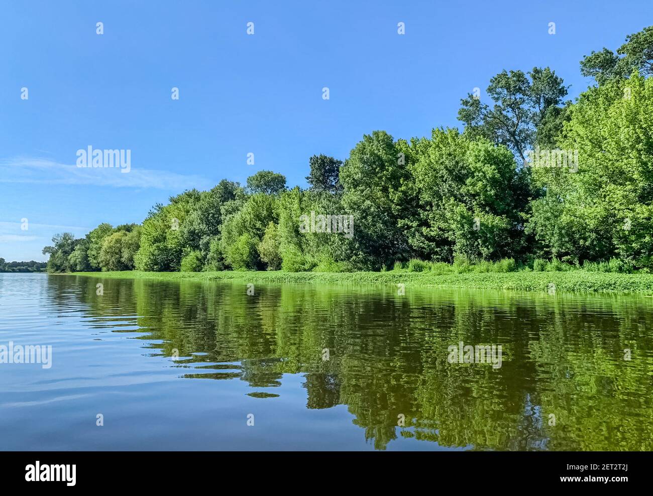 Surface view of the Loire River with lush vegetation reflecting on the water Stock Photo