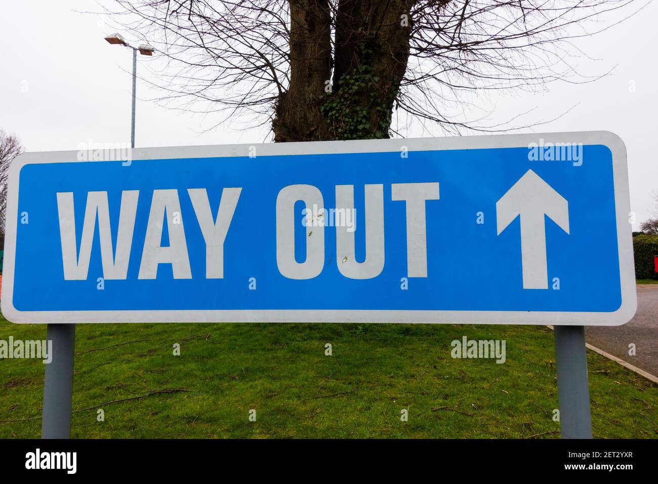 'Way Out' sign post. White lettering on blue background. Stock Photo