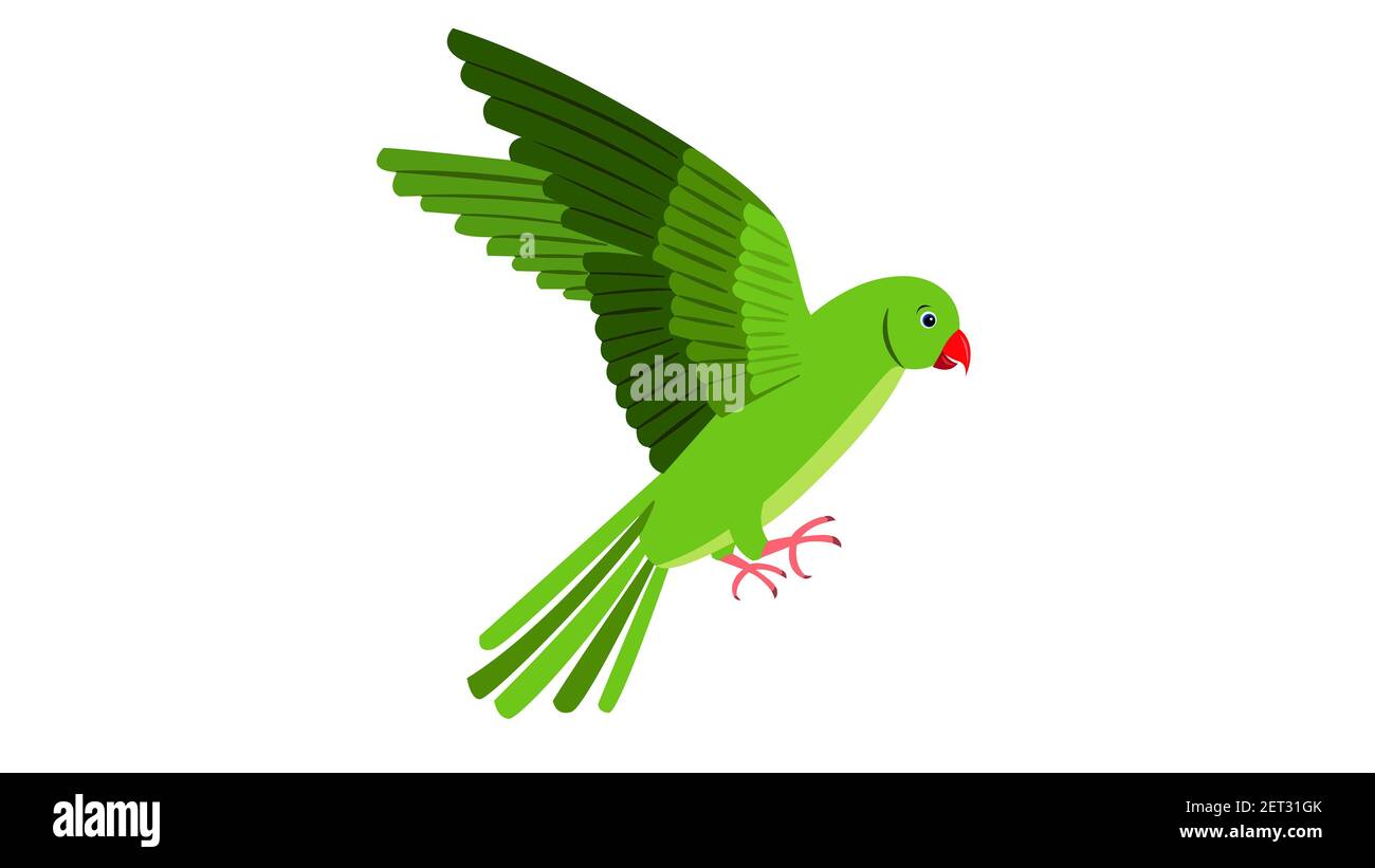 An Illustration of parakeet on flying Stock Photo - Alamy