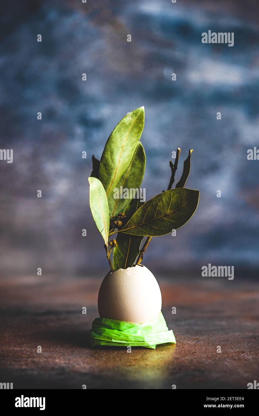 Rustic Easter decoration with bay leaves in an empty eggshell Stock Photo