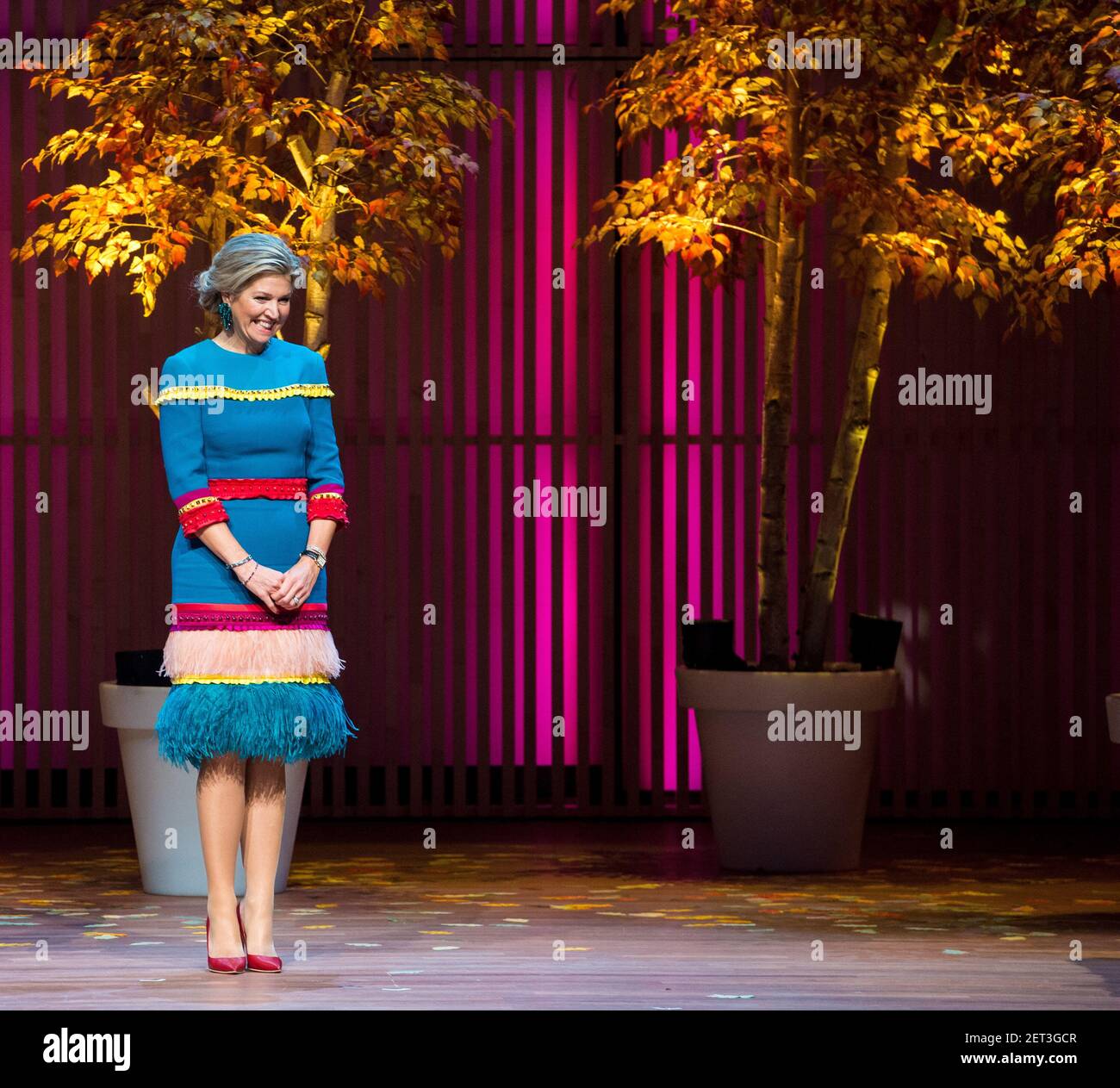 Queen Maxima at the presentation of the Prins Bernhard Cultuurfonds ...