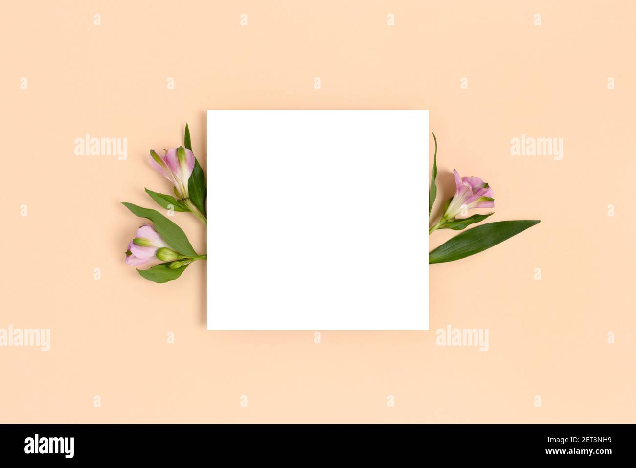 Composition with flowers and blank paper on a beige background. Greetind card mockup. Stock Photo