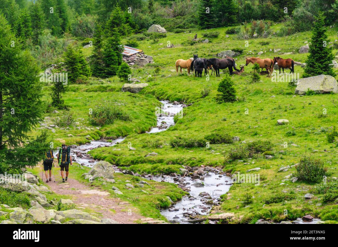 Trekking tour in Lagorai mountains Stock Photo
