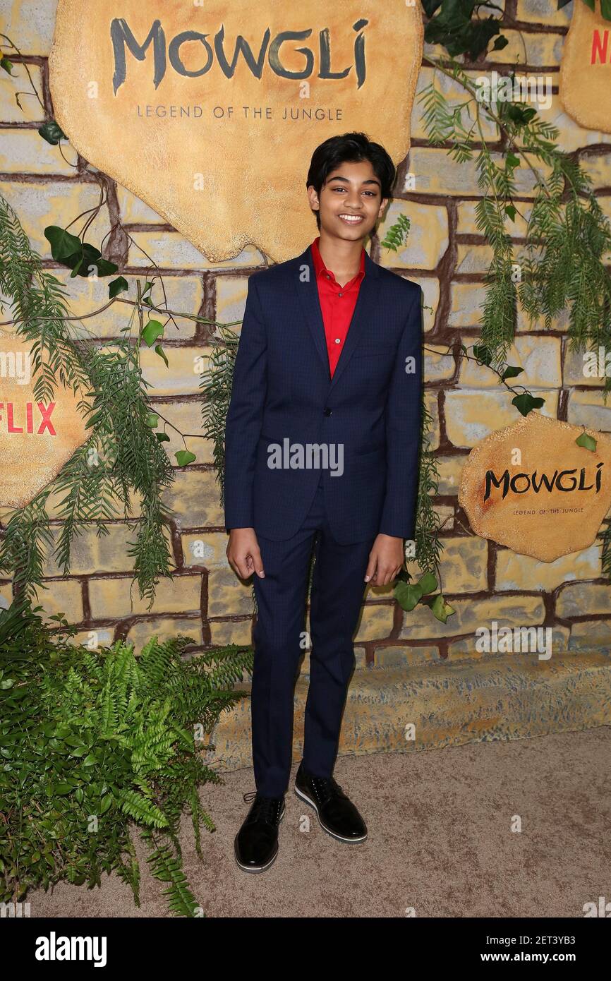 rohan-chand-attends-the-los-angeles-special-screening-of-nexflix-s