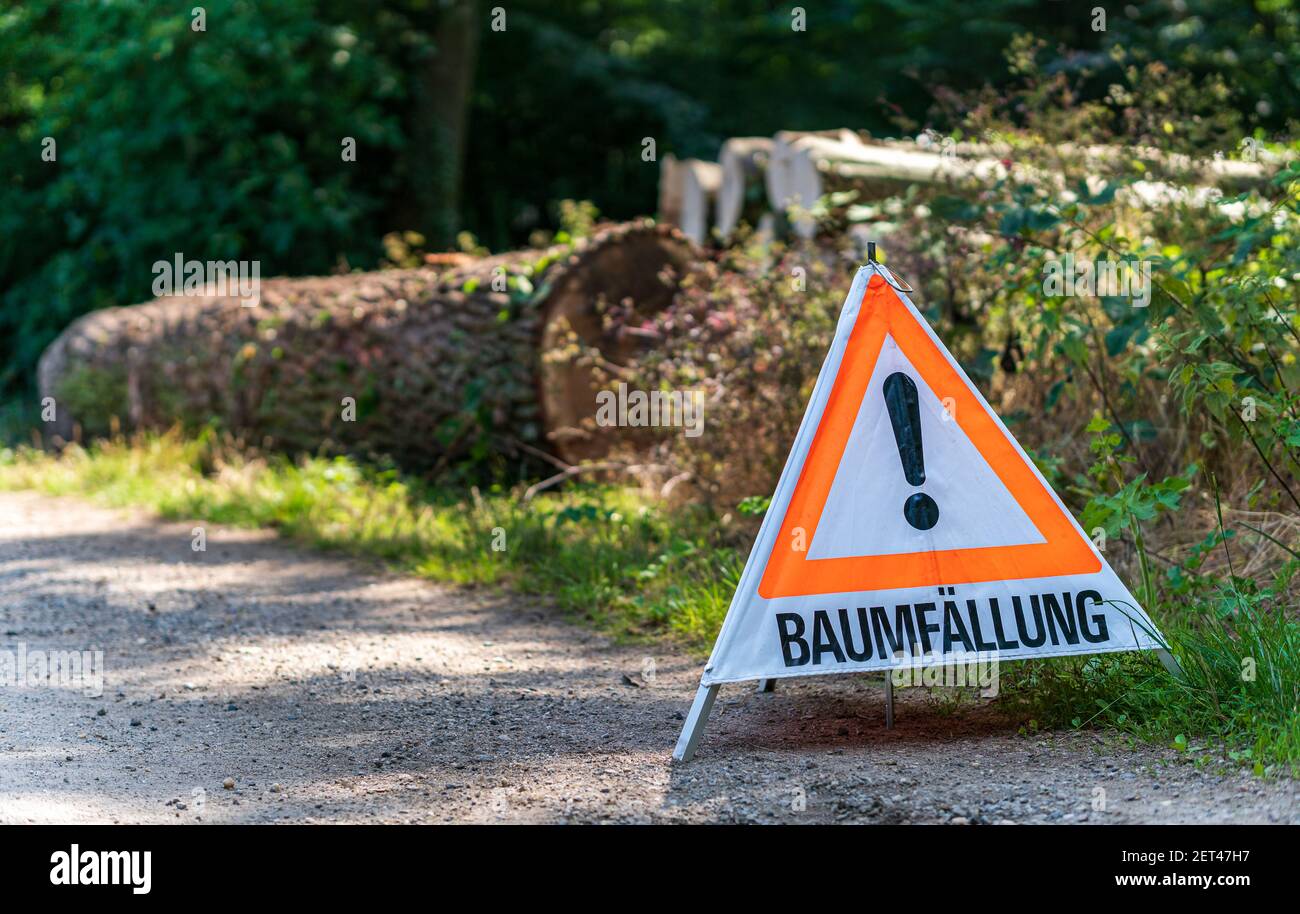 Warning sign with German text reading tree felling (Baumfällung) in ...