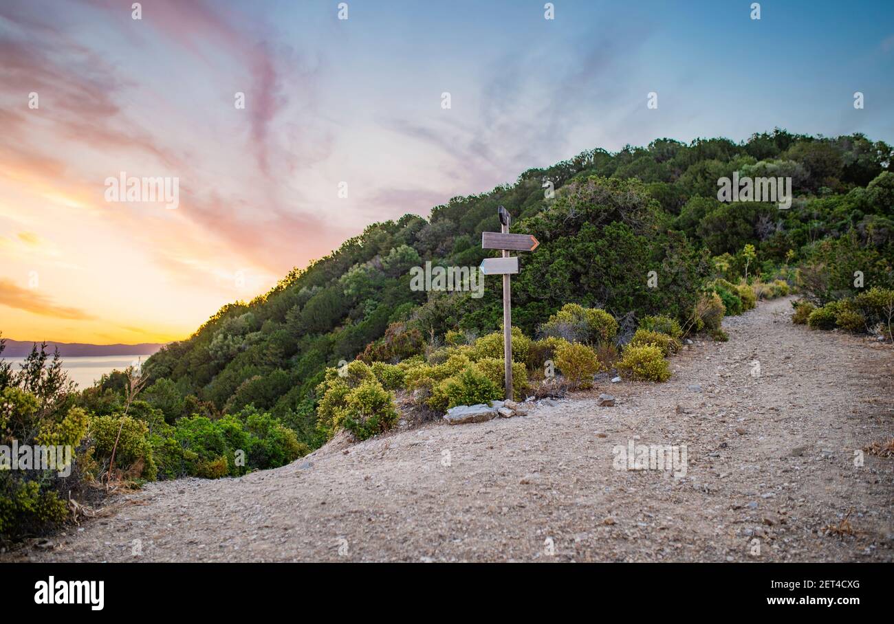 Rural scenic landscape with crossroads on the hill during a beautiful sunset. Two different directions. Concept of choosing the correct way. Stock Photo