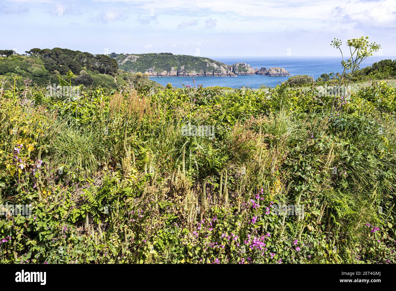 The beautiful rugged south coast of Guernsey - A glimpse of Saints Bay from the Icart Road, Guernsey, Channel Islands UK Stock Photo