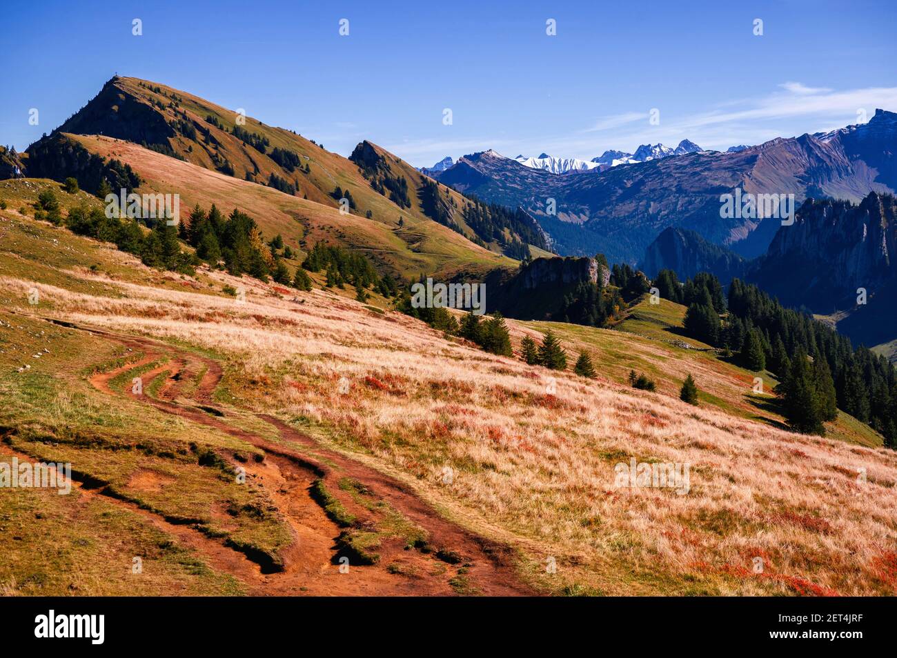 Ridgeway, hillside and peak of Hintere Niedere hill in Austrian Alps, Bregenzerwald, Austria, in autumn sunny day. With snowy mountain peaks in backgr Stock Photo