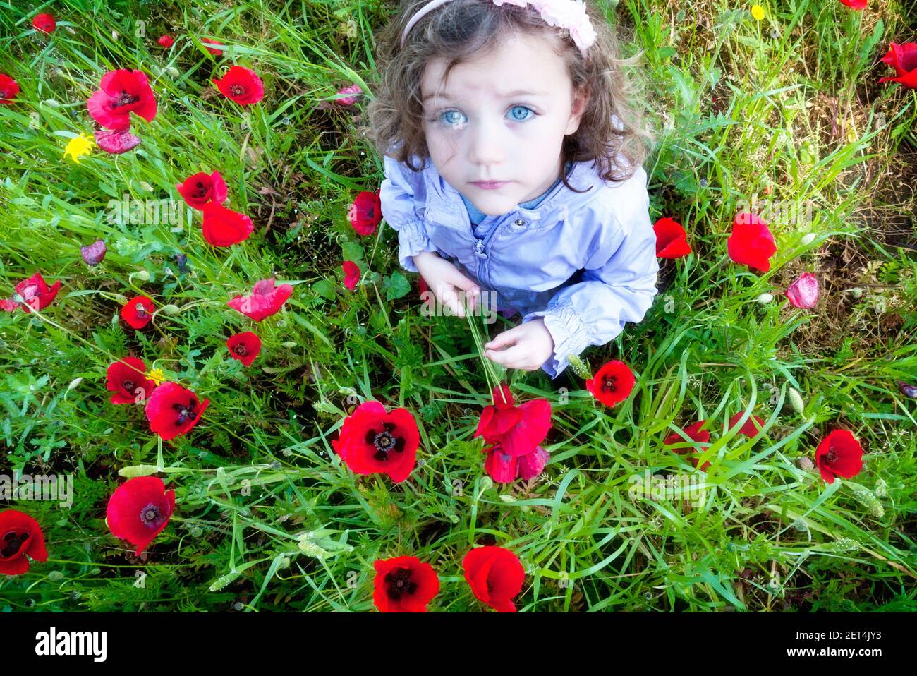 Girl standing in flower field hi-res stock photography and images - Alamy