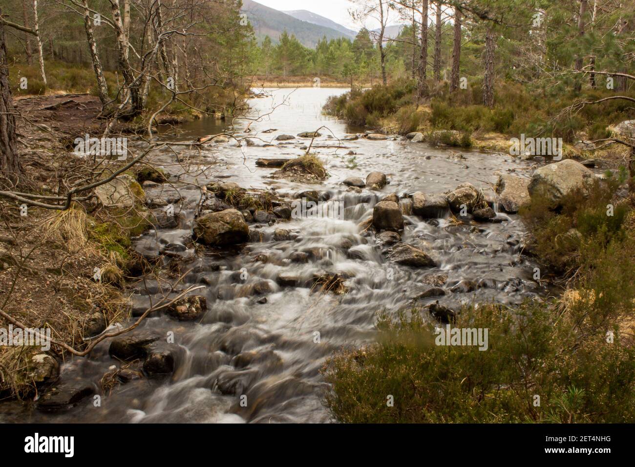 The small stream connecting Loch an Eilean and the smaller Loch Gamha, in the Rothiemurchus forest in the Cairngorms National Park Stock Photo