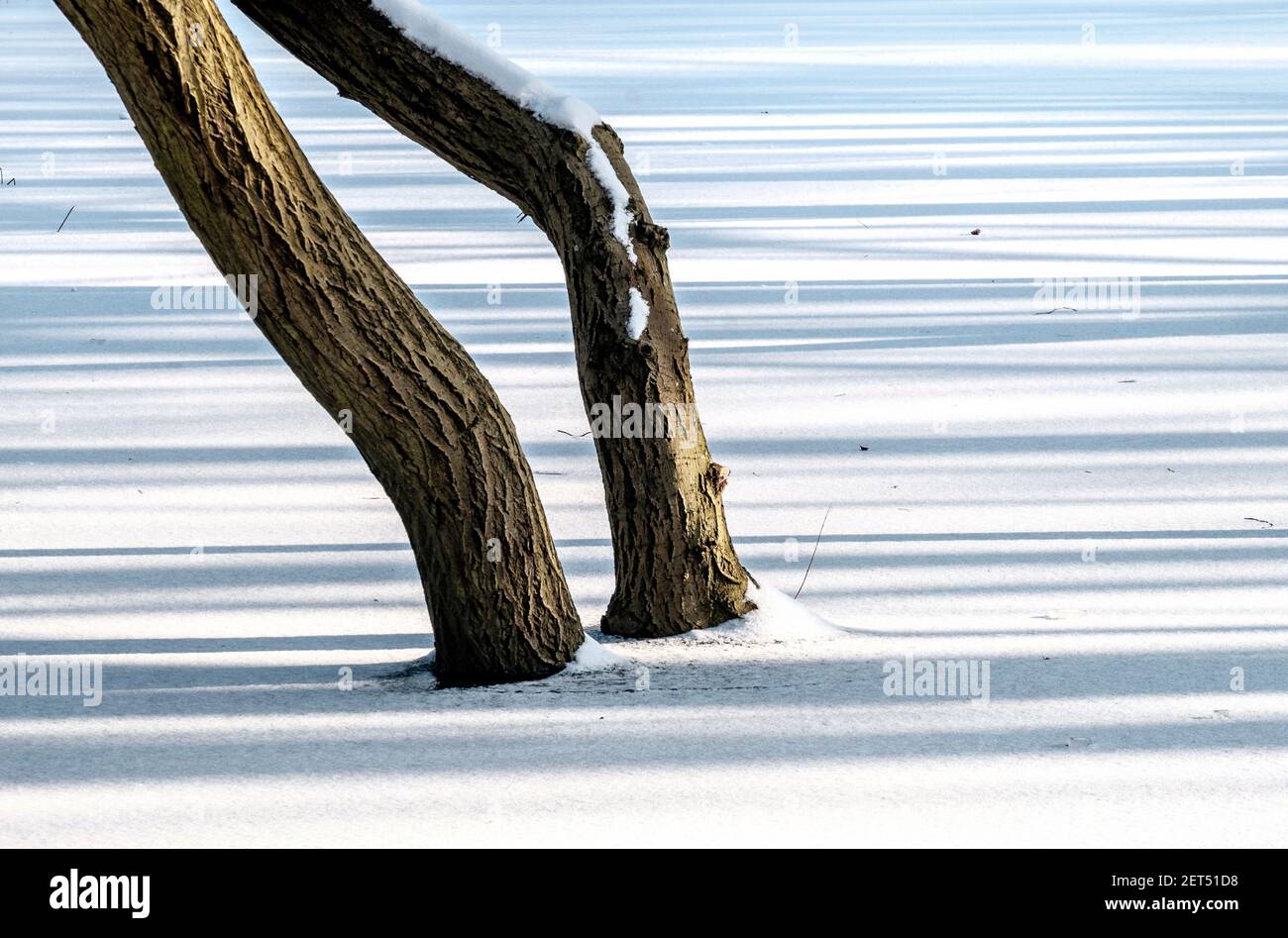 Minimalist winter landscape, United Kingdom. Stock Photo
