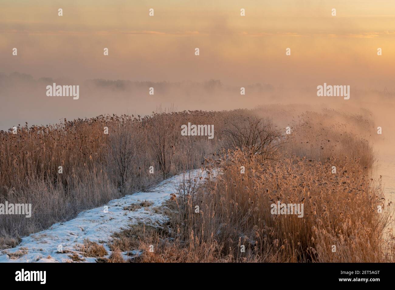 sunrise over the lake on a frosty and misty morning Stock Photo