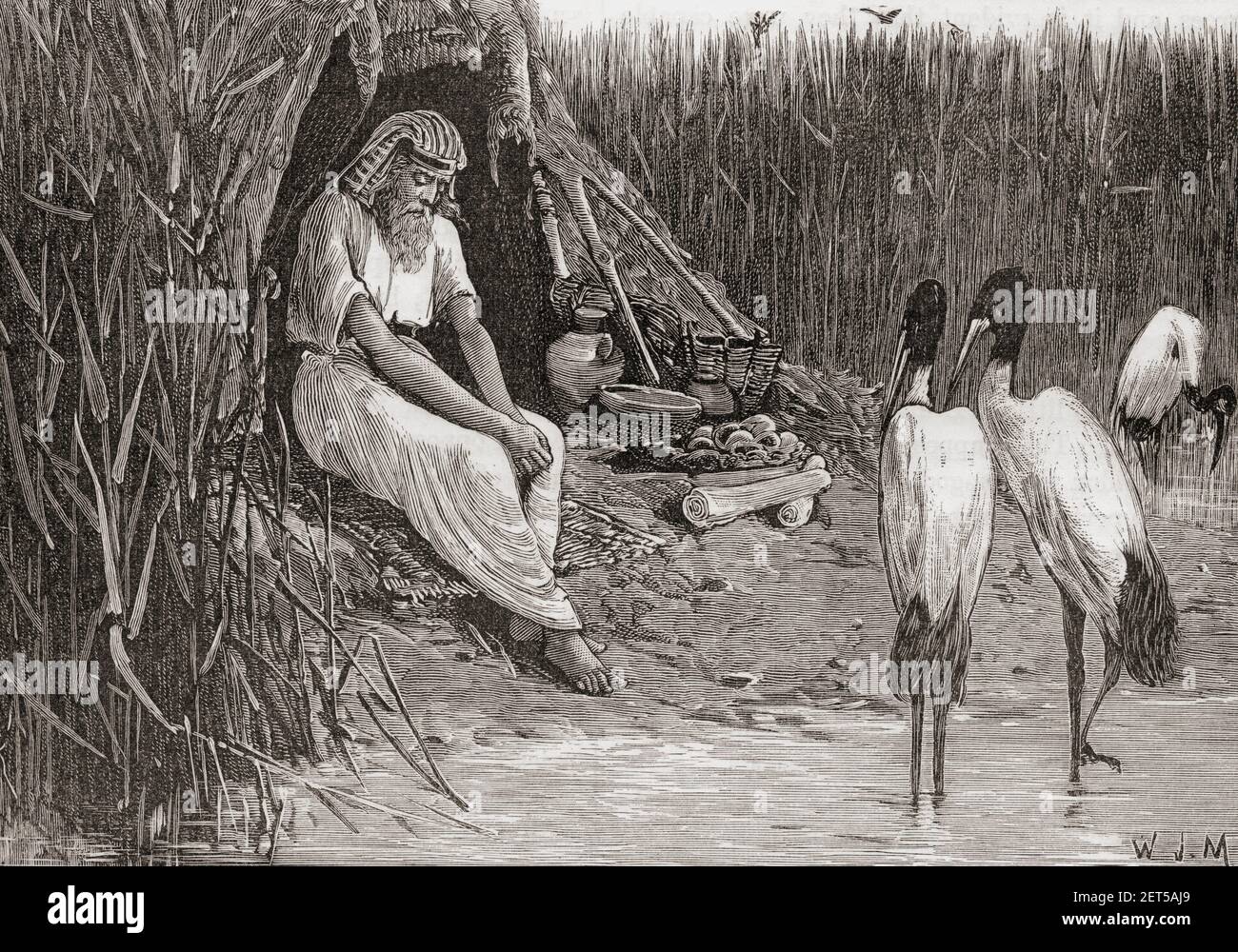 Menna and Family Hunting in the Marshes 1411 BC by Ancient Egypt Stock  Photo - Alamy