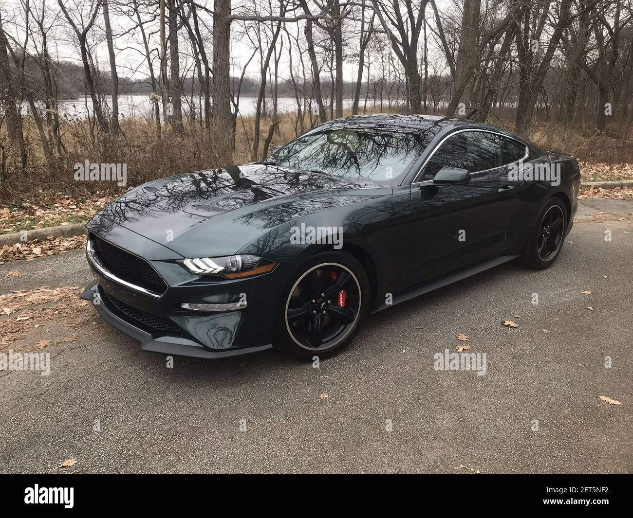 The 2019 Ford Mustang Bullitt honors the 50th anniversary of the movie ...