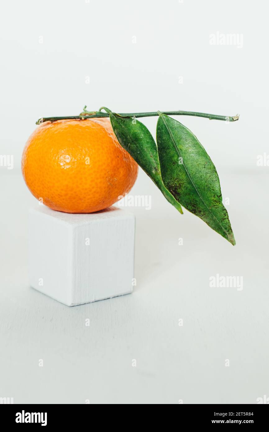 A single Clementine Citrus Fruit still life shot minimalist photograph of fruit shot against a