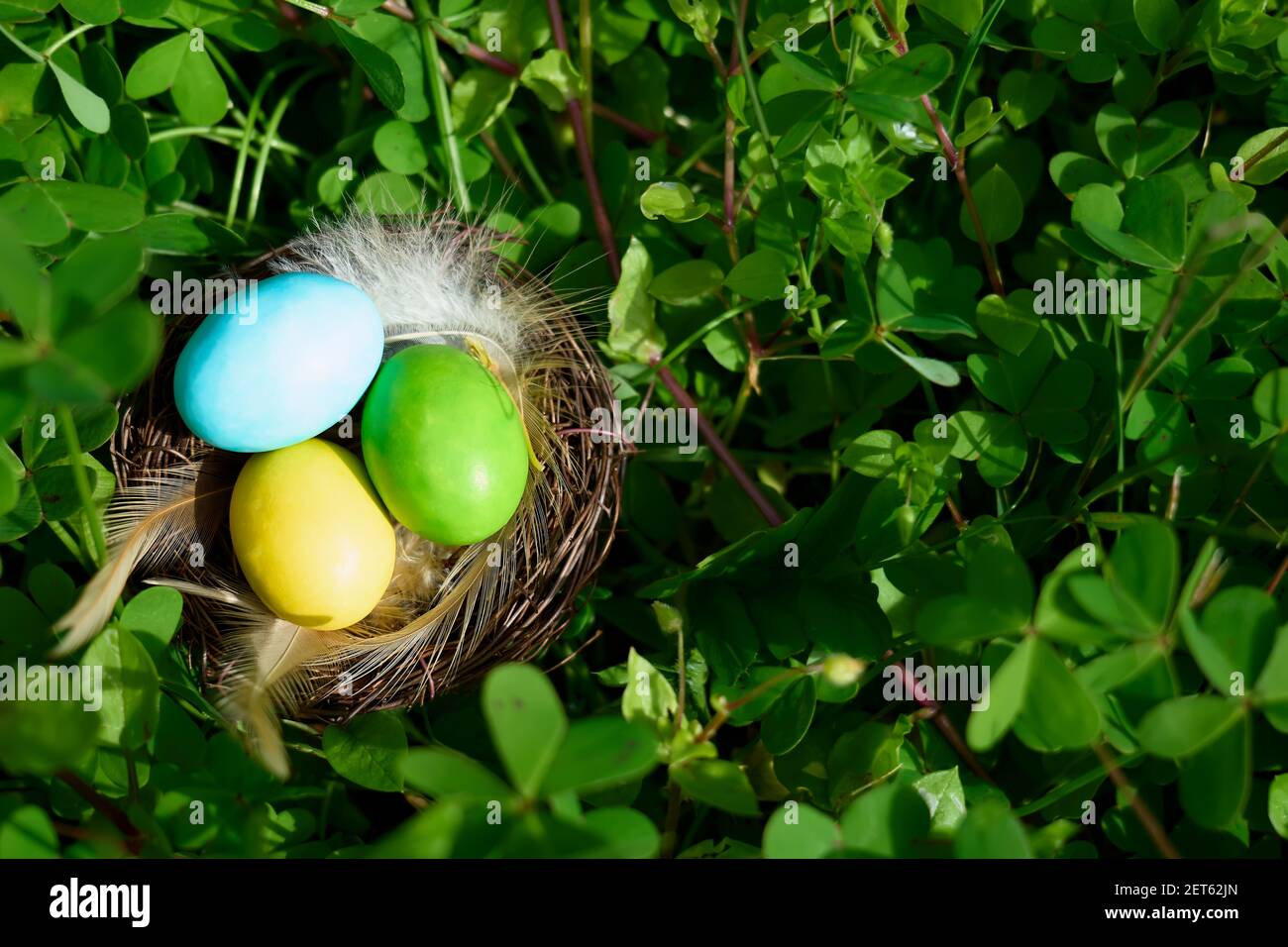 Stylish colorful easter eggs with feathers in the nest on green grass ...