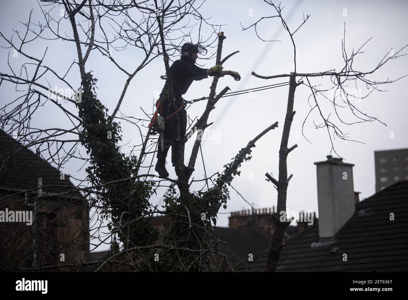 Cutting down tree garden uk hi-res stock photography and images - Alamy