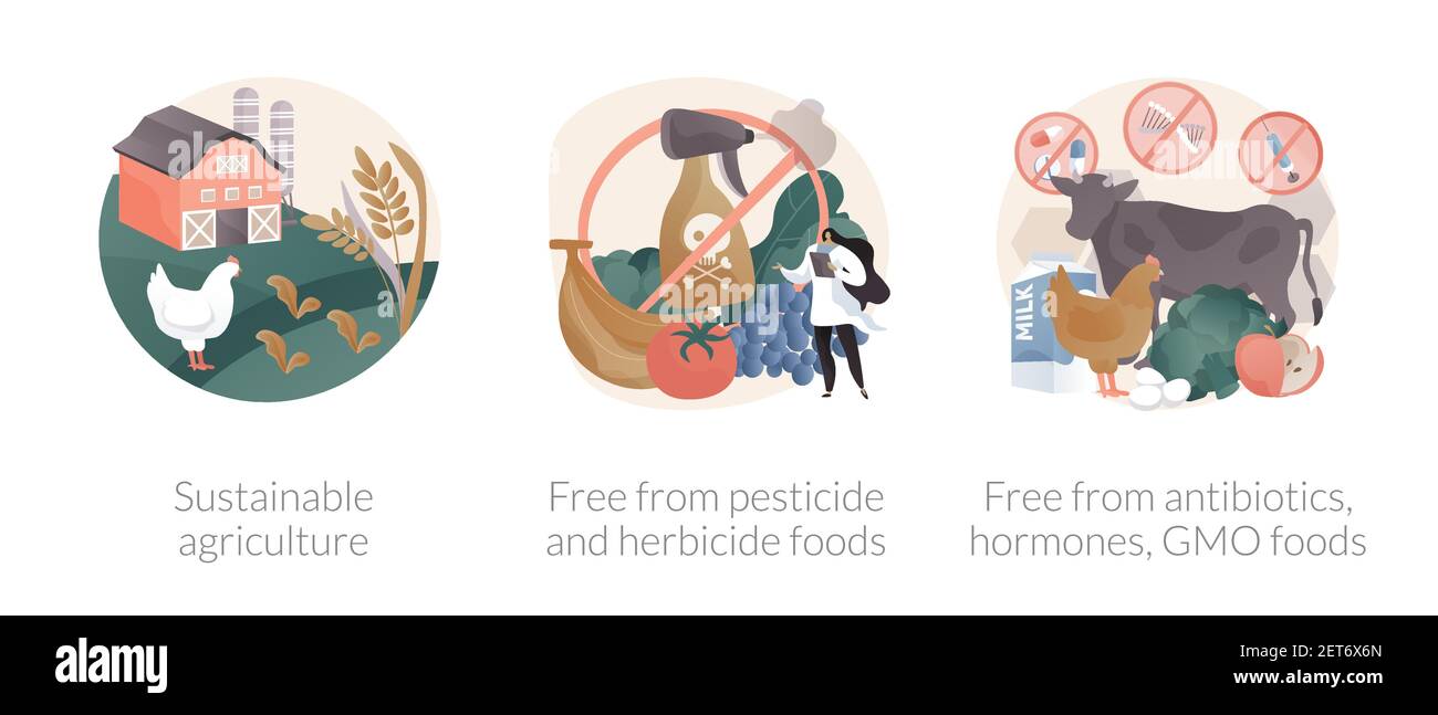 Sustainable organic agriculture abstract concept vector illustrations ...