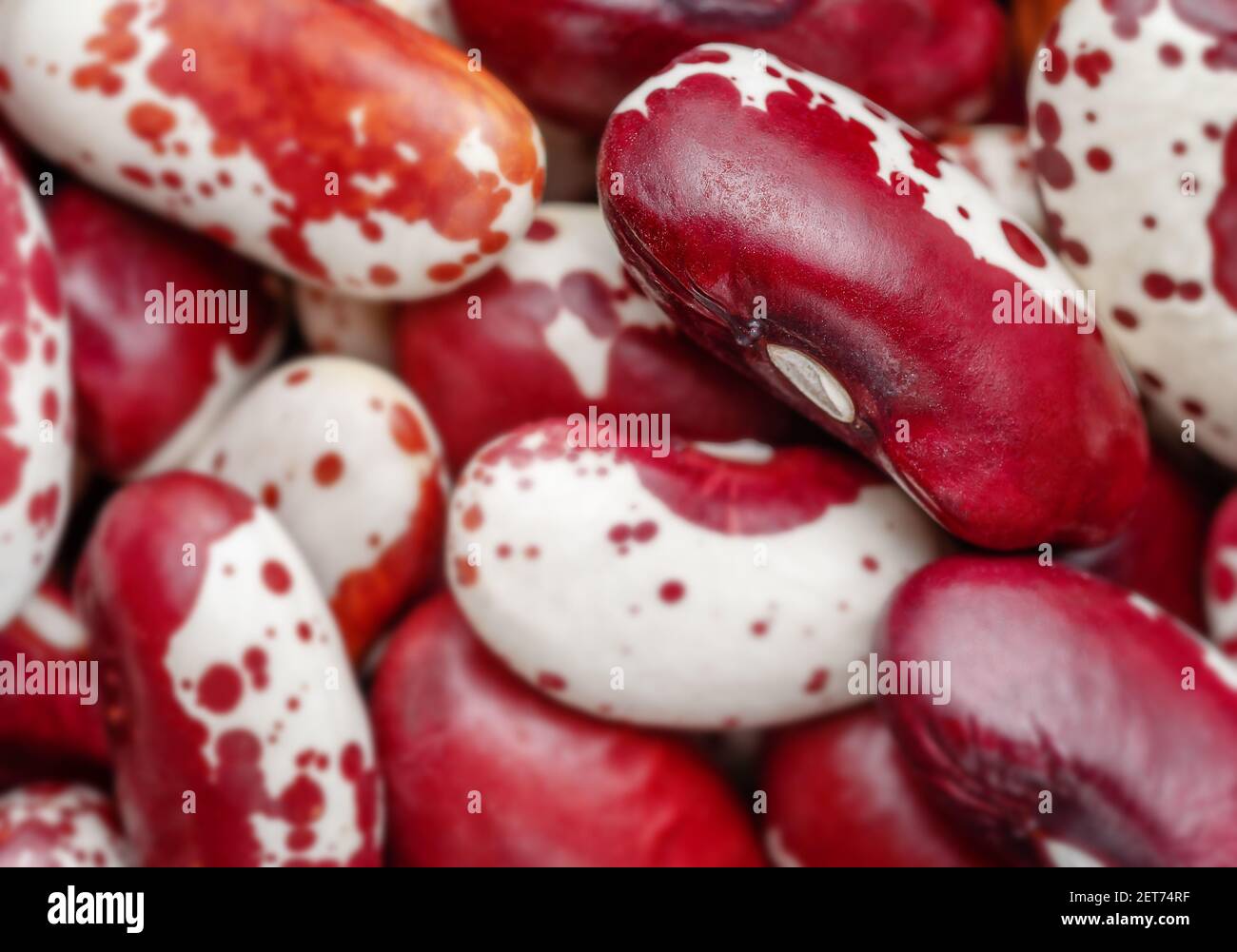 Macro shot of red kidney beans. Selective focus, overhead Stock Photo