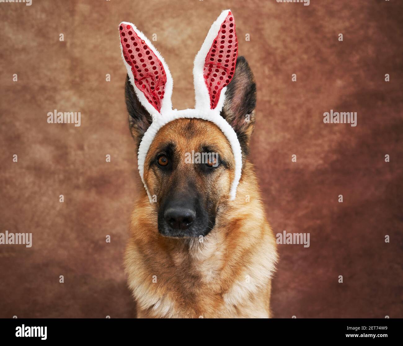 white german shepherd plush