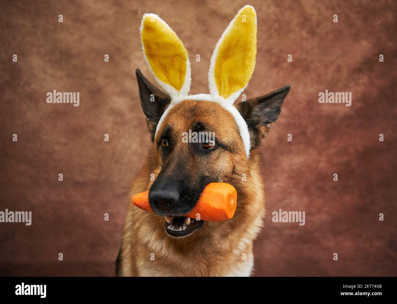 white german shepherd plush