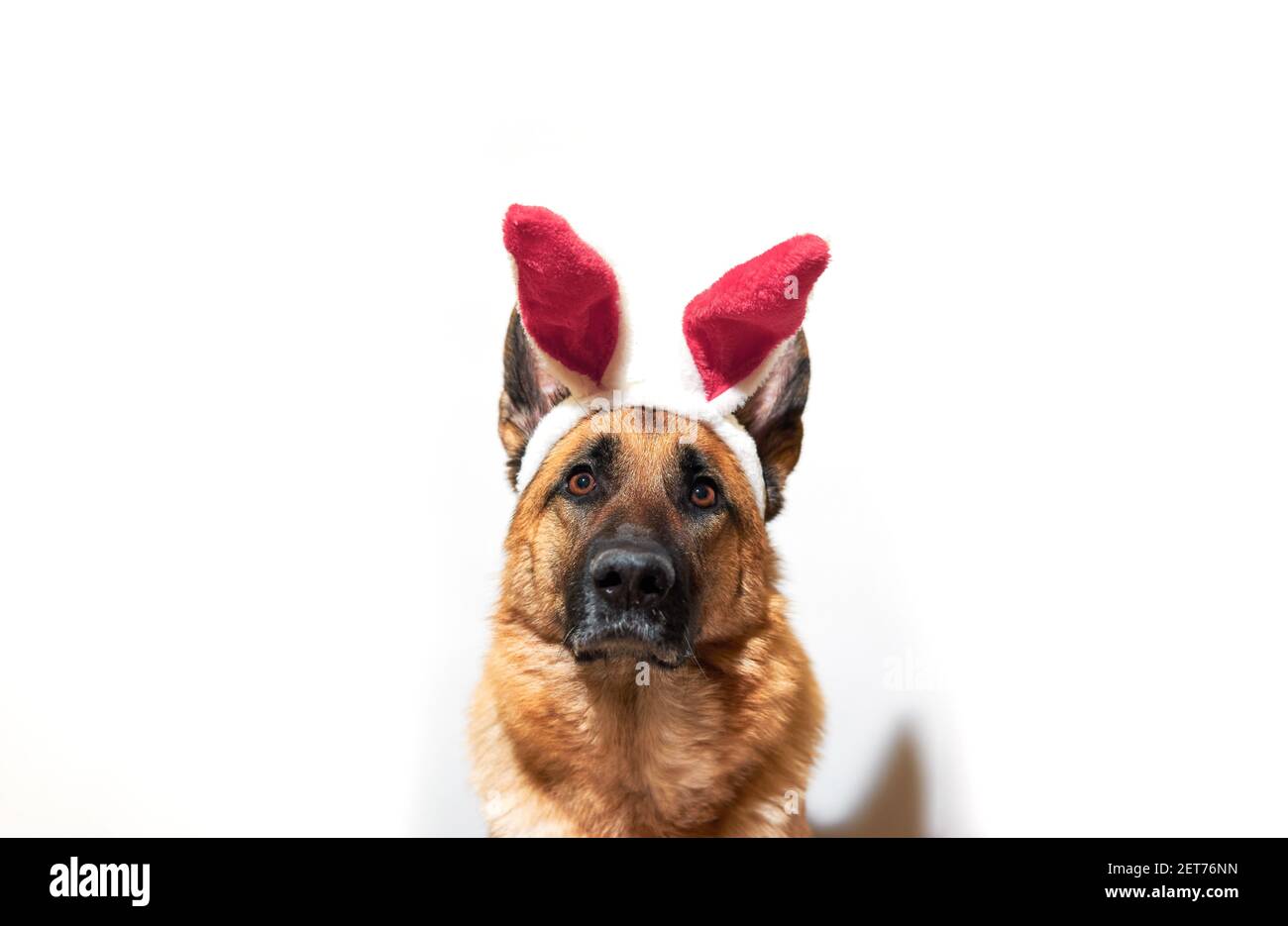 black german shepherd plush