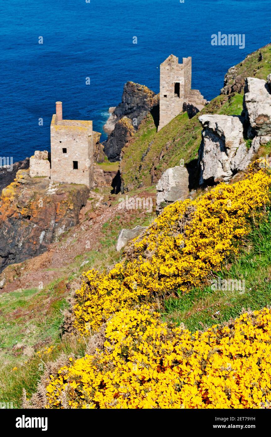 crown engines houses at botallack in cornwall england Stock Photo