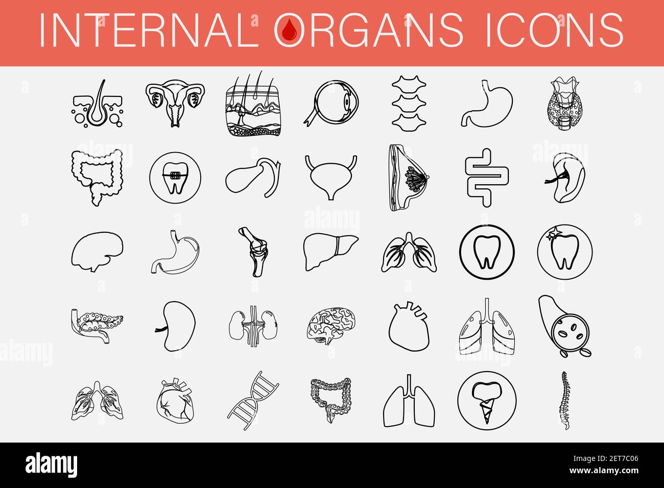 Set of icons of internal organs and parts of man. Stock Vector