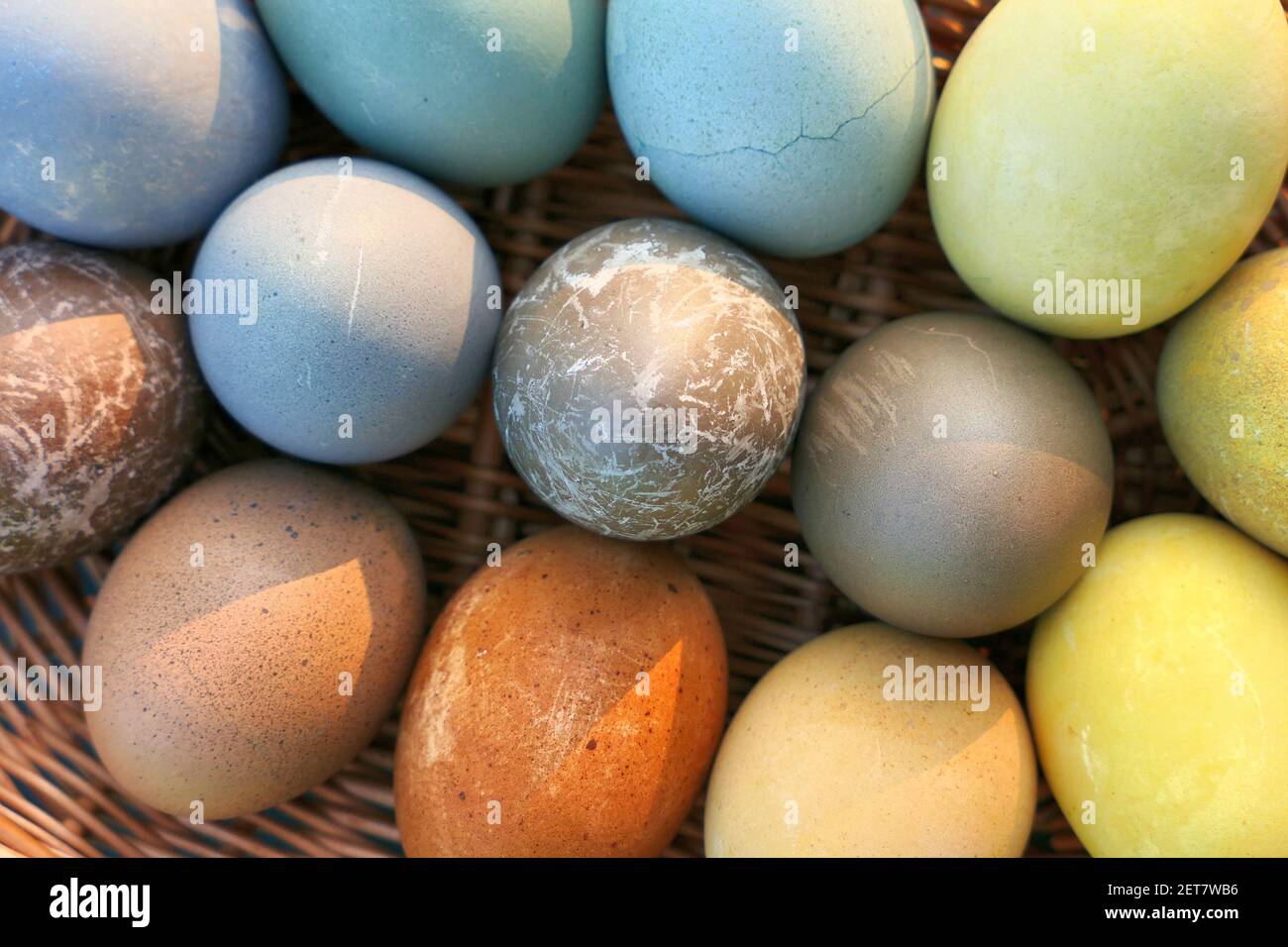 Naturally dyed Easter eggs in the basket background. Stock Photo