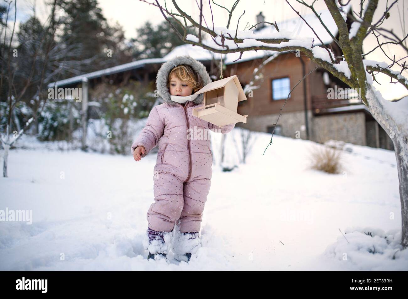 Small girl outdoors in winter garden, standing by wooden bird feeder. Stock Photo