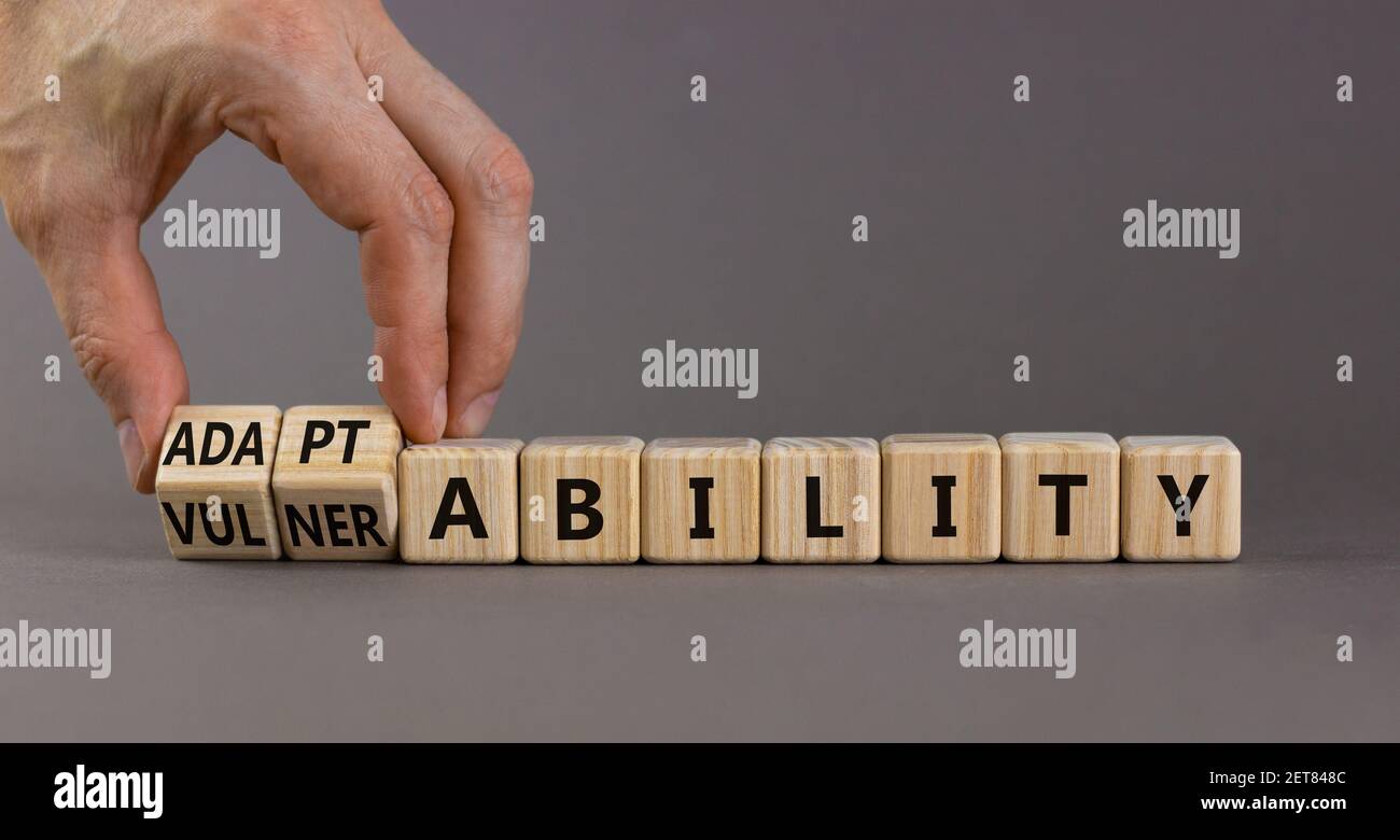 Vulnerability or adaptability symbol. Businessman turns wooden cubes and changes words 'vulnerability' to 'adaptability'. Grey background, copy space. Stock Photo