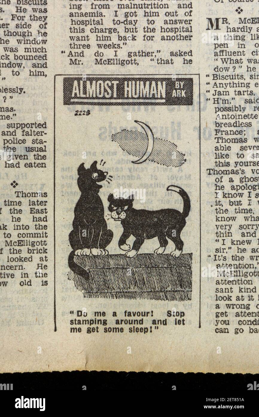 'Almost Human' by Ark cartoon of The Evening News newspaper (Monday 27th April 1964), London, UK. Stock Photo