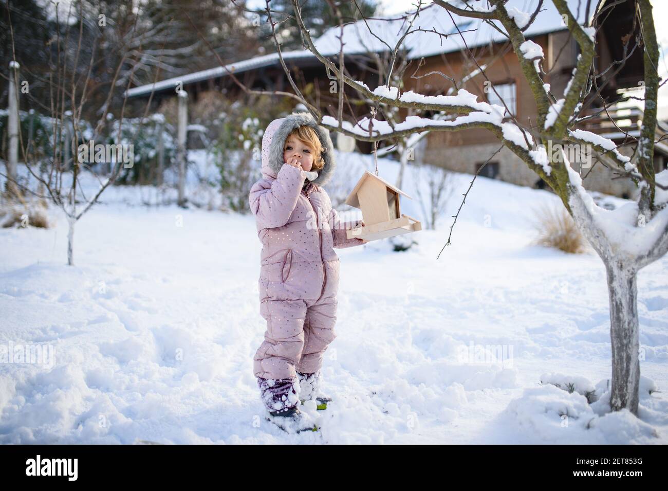 Small girl outdoors in winter garden, standing by wooden bird feeder. Stock Photo