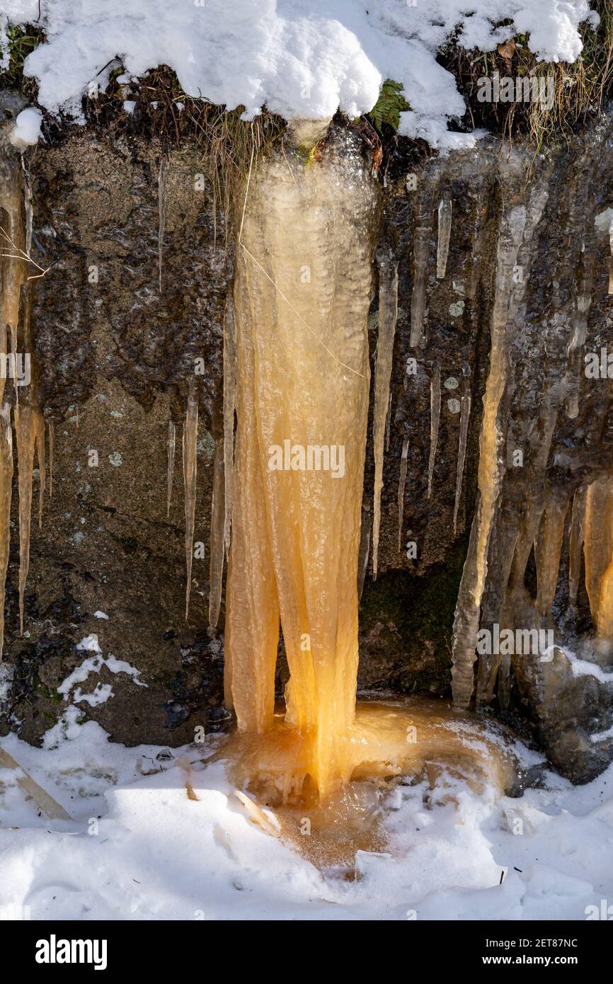 The Brown Colored Icicles Hanging From The Rock Stock Photo Alamy The Brown Colored Icicles Hanging From The Rock Stock Photo Alamy