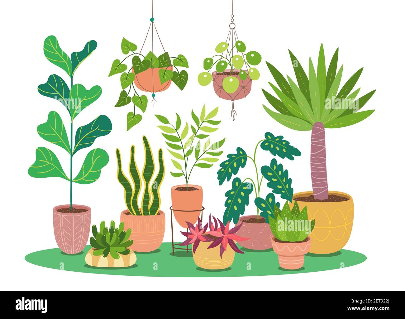 Decorative houseplants growing in pot. Vector illustration isolated on white background. Design elements easy to edit and rearrange. Landscape format. Stock Vector