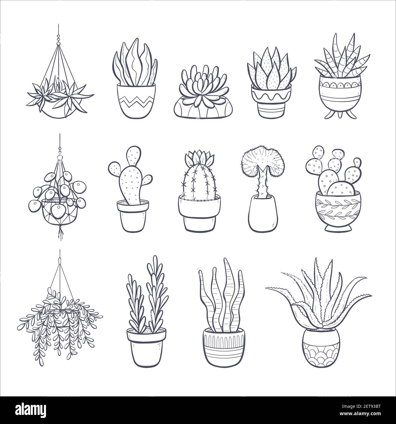 Collection of hand drawn succulents and cactus isolated on white ...